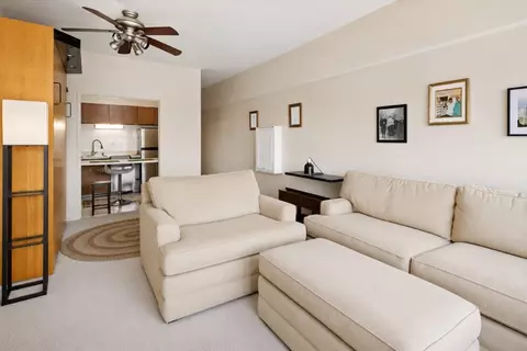 Living - 175 E Delaware Pl #4921, Chicago, IL 60611 photo 1 of 3
