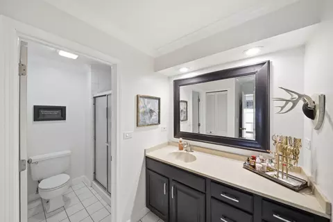 1483 Pebblestone Cv, Wheaton, IL 60189 photo 15