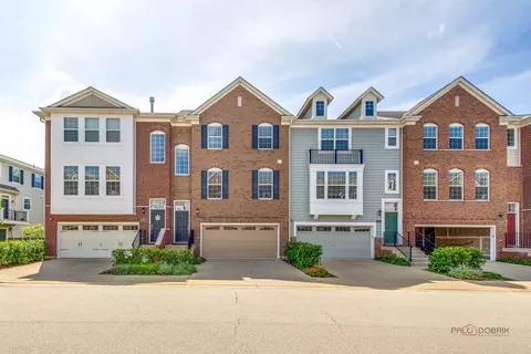 29 Neri Dr, Schaumburg, IL 60194
