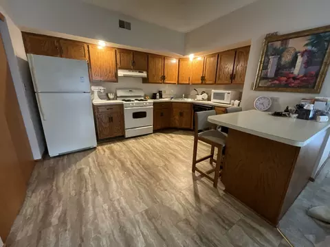 1101 E Division St #1B, Lockport, IL 60441 photo 3
