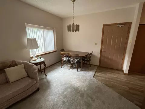 1101 E Division St #1B, Lockport, IL 60441 photo 5