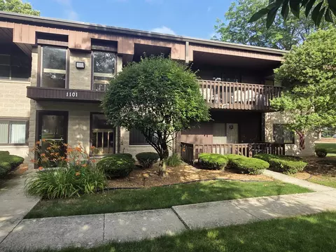 1101 E Division St #1B, Lockport, IL 60441 photo 1