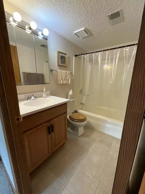 Bath - 1101 E Division St #1B, Lockport, IL 60441 photo 1 of 2