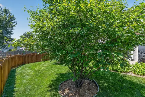 Exterior - 21249 W Edison Ln, Plainfield, IL 60544 photo 5 of 17