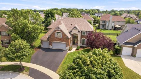 View/Area - 16418 S Mueller Cir, Plainfield, IL 60586 photo 1 of 10