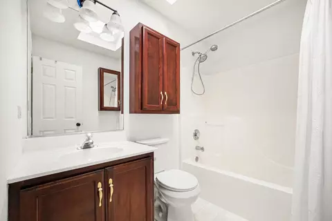 Bath - 25838 S Sunrise Ct, Monee, IL 60449 photo 3 of 4