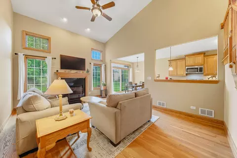 20373 Mackinac Point Dr, Frankfort, IL 60423