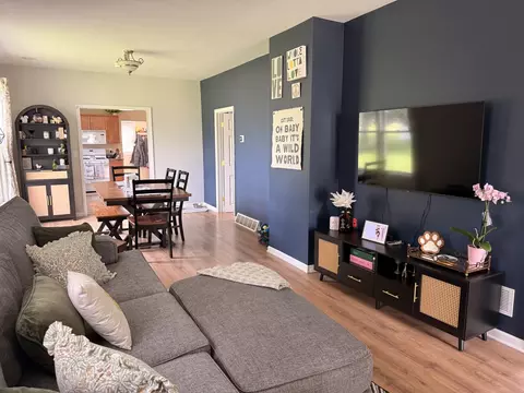 310 S 2nd St, Standard, IL 61363 photo 6