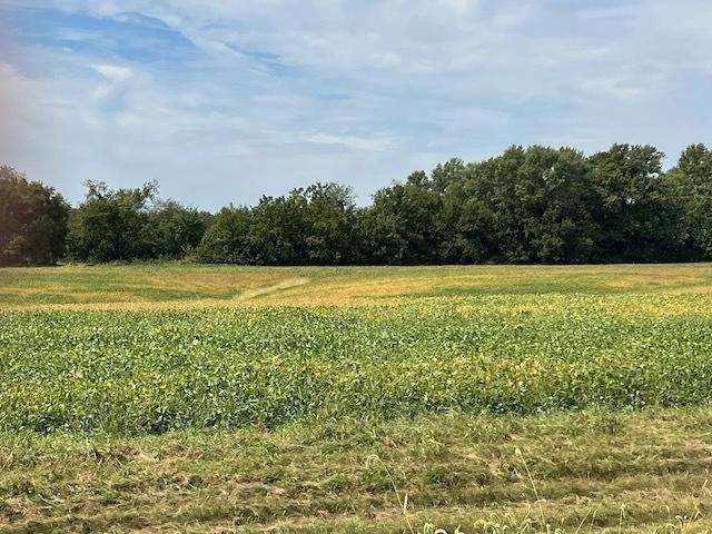 00 Wells Ferry Rd, Pleasant Valley, IA 52767