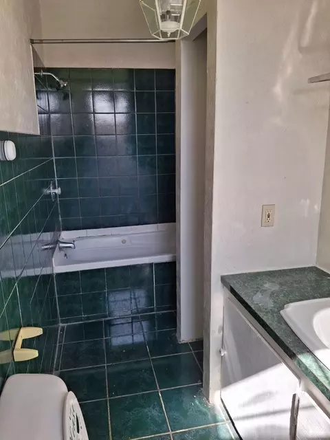 864 E 87th Pl, Chicago, IL 60619 photo 12