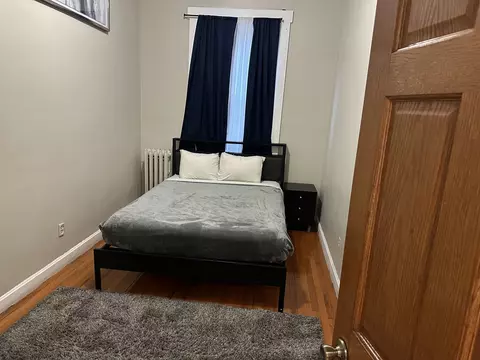 441 E 42nd St, Chicago, IL 60653 photo 22