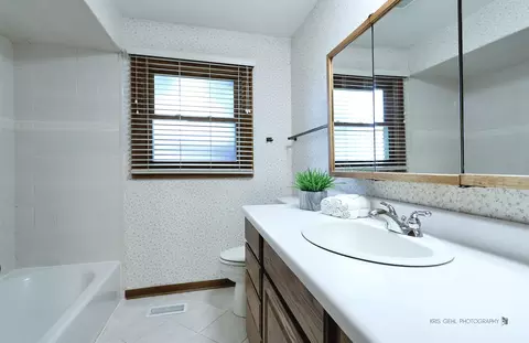 Bath - 1000 E Ardyce Ln, Mount Prospect, IL 60056 photo 2 of 3