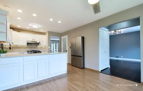 Kitchen - 1000 E Ardyce Ln, Mount Prospect, IL 60056 photo 4 of 7