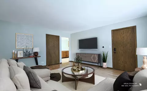 Living - 1000 E Ardyce Ln, Mount Prospect, IL 60056 photo 9 of 12