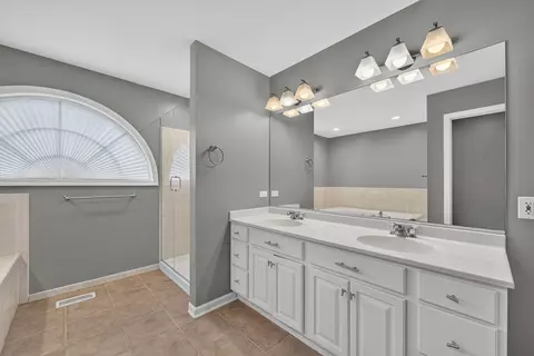 Bath - 24105 Cropland Dr, Plainfield, IL 60544 photo 3 of 4