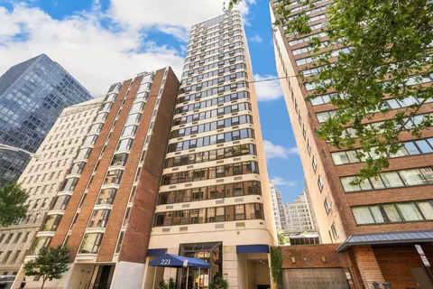 221 E Walton Pl #5C, Chicago, IL 60611