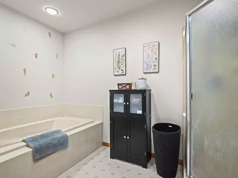 Bath - 2085 Lake Summerset Rd, Davis, IL 61019 photo 3 of 5
