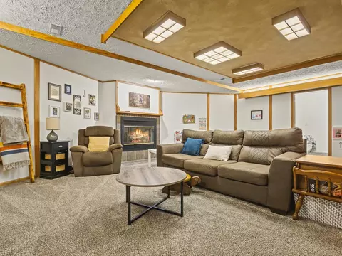 Living - 2085 Lake Summerset Rd, Davis, IL 61019 photo 8 of 10