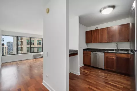 30 E Huron St #2406, Chicago, IL 60611 photo 7