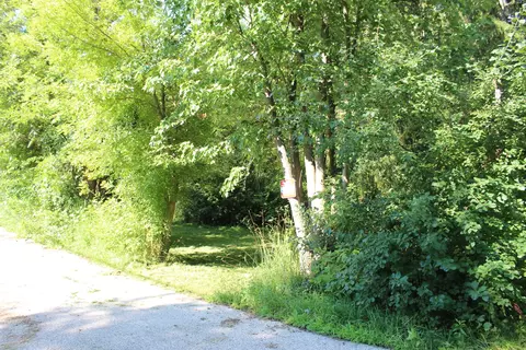 31918 Hillside Dr, Lakemoor, IL 60051 photo 5