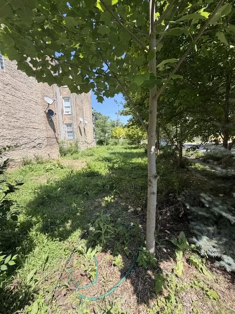 1449 S Spaulding Ave, Chicago, IL 60623