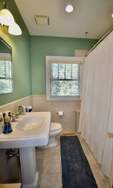 Bath - 1131 Thatcher Ave, River Forest, IL 60305 photo 4 of 4
