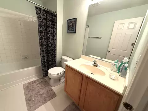 Bath - 2871 Falling Waters Ln, Lindenhurst, IL 60046 photo 8 of 8