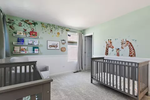 Other - 4131 Wanderlust Dr, Algonquin, IL 60102 photo 11 of 11