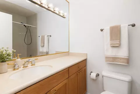 Bath - 552 Greystone Ln #C2, Wheeling, IL 60090 photo 1 of 1