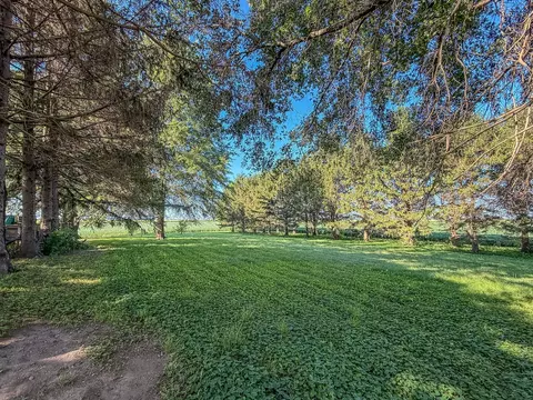 Exterior - 23 E 1500 North Rd, Cisco, IL 61830 photo 20 of 22