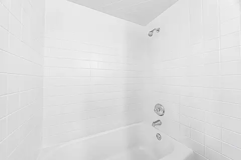 Bath - 461 Tomahawk St, Park Forest, IL 60466 photo 2 of 2