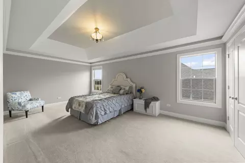 Bedroom - 13452 Skyline Dr, Plainfield, IL 60585 photo 4 of 8