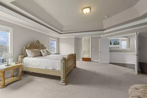 Bedroom - 13452 Skyline Dr, Plainfield, IL 60585 photo 3 of 8