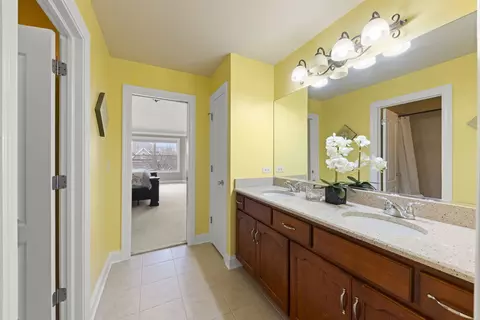 Bath - 13452 Skyline Dr, Plainfield, IL 60585 photo 4 of 6