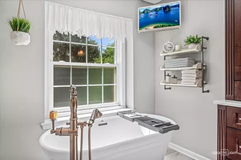 Bath - 1160 Midwest Ln, Wheaton, IL 60189 photo 4 of 6