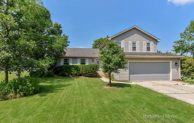 20236 Pepperwood Ct, Frankfort, IL 60423