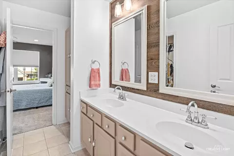 Bath - 26343 Mapleview Dr, Plainfield, IL 60585 photo 5 of 7