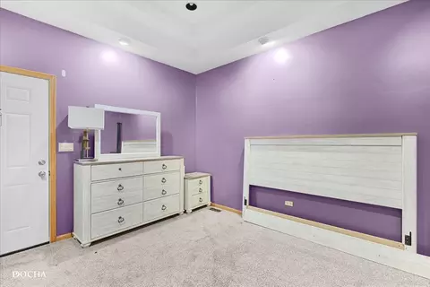365 E Pine Meadow Ct, Morris, IL 60450 photo 29