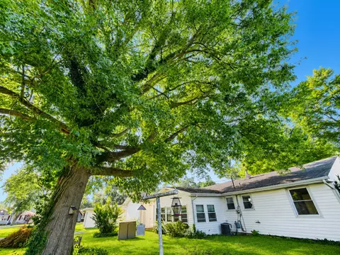 Exterior - 310 Hickory St, Flora, IL 62839 photo 2 of 20
