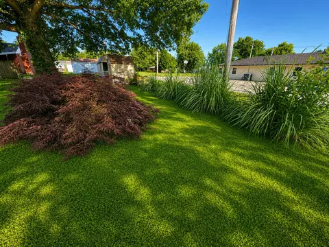 Exterior - 310 Hickory St, Flora, IL 62839 photo 14 of 20
