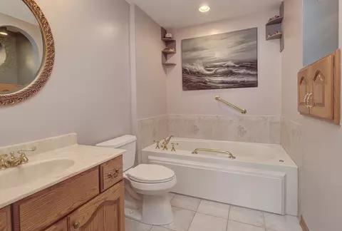 Bath - 24960 Sandra Ln, Plainfield, IL 60544 photo 1 of 4