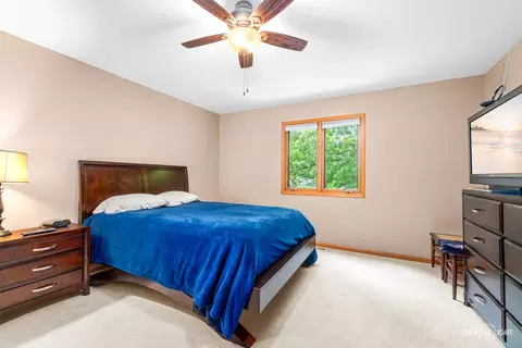 37 W907 Bowes Rd, Elgin, IL 60124 photo 21