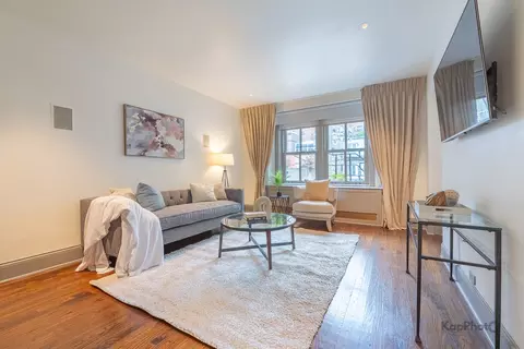 Living - 24 E Scott St #2, Chicago, IL 60610 photo 4 of 6