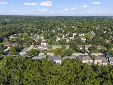 View/Area - 2265 River Woods Dr, Naperville, IL 60565 photo 10 of 13