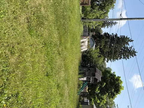 Exterior - 314 E South St, Dwight, IL 60420 photo 3 of 5