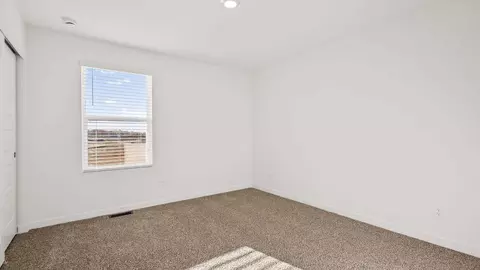 1436 Rolling Pass, Beecher, IL 60401 photo 22