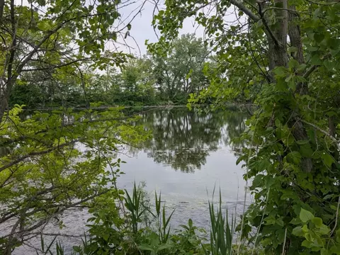 0 Gore Rd, Morris, IL 60450 photo 6