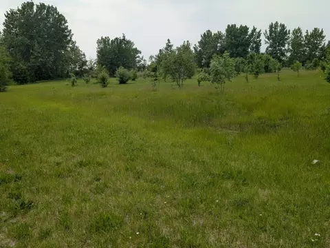 0 Gore Rd, Morris, IL 60450 photo 2