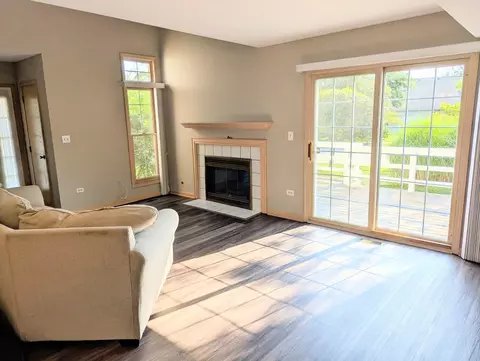 Living - 9841 Cambridge Dr, Mokena, IL 60448 photo 2 of 4