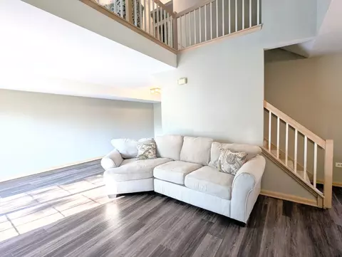 Living - 9841 Cambridge Dr, Mokena, IL 60448 photo 4 of 4